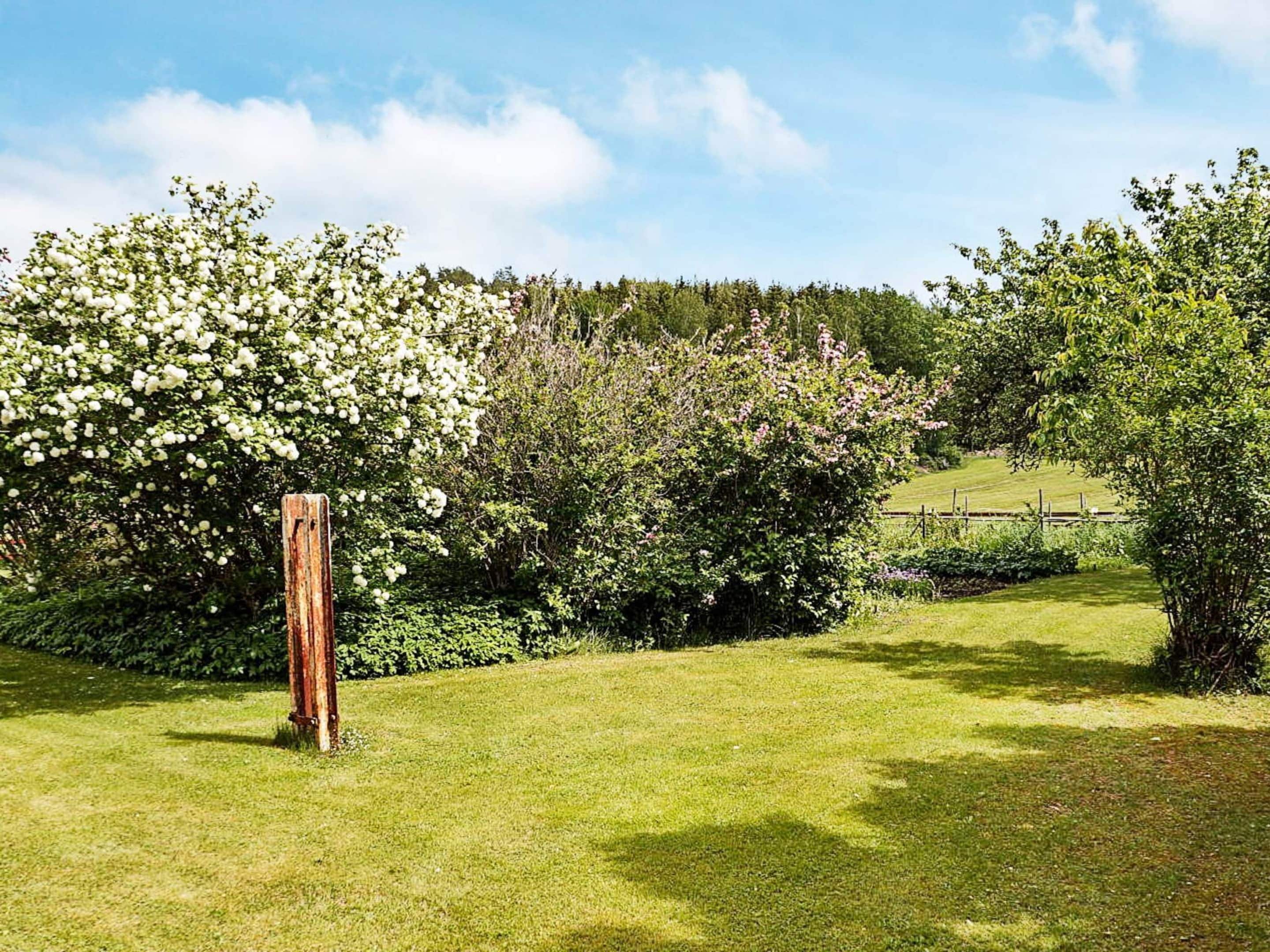 A grassy field with a wooden post, dense shrubbery, and a variety of trees.