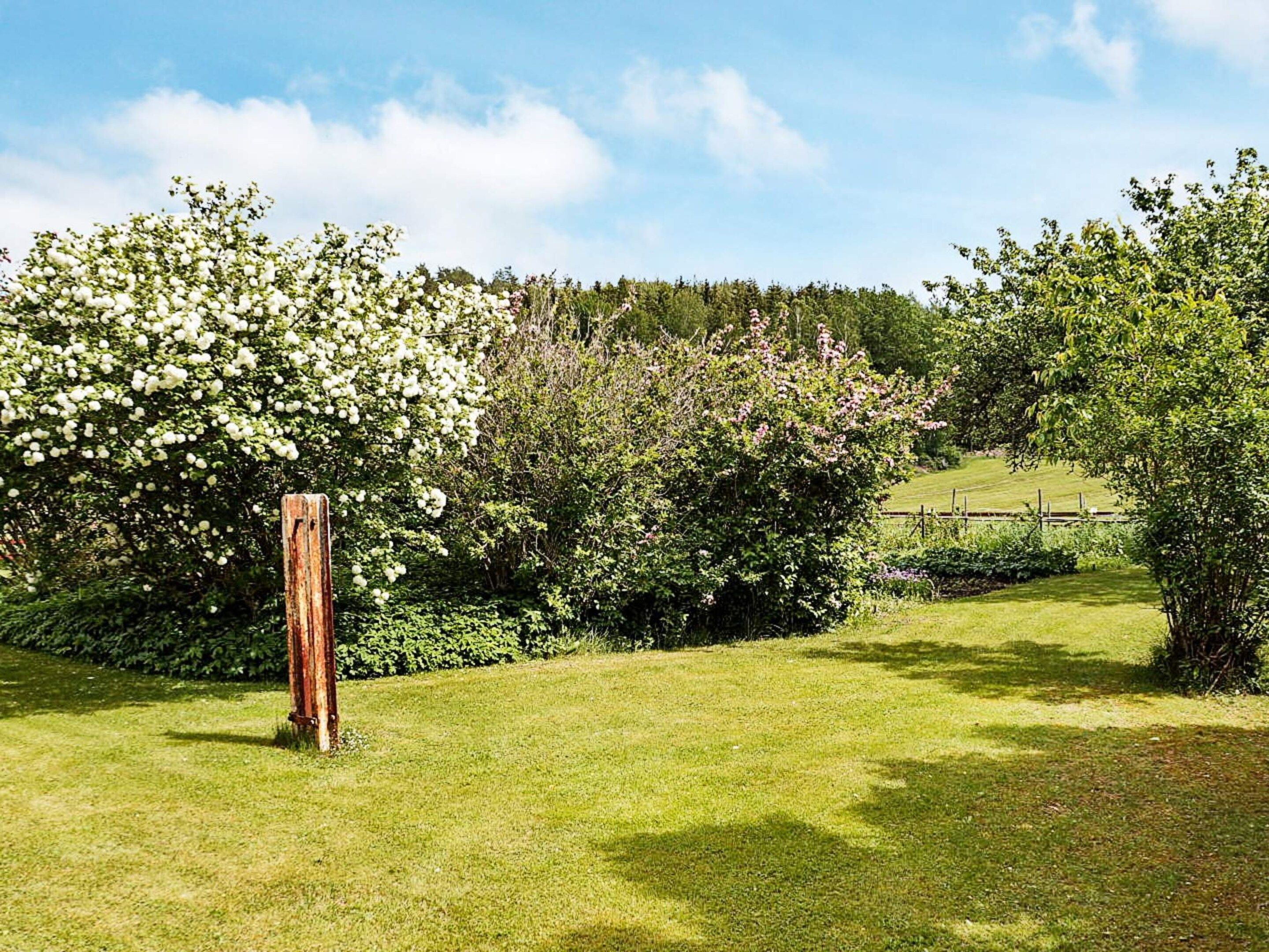 Un espace extérieur verdoyant, avec un poteau en bois, entouré d’une végétation luxuriante et de buissons en fleurs.