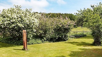 A grassy outdoor area with a wooden post, dense foliage, and a fence in the background.