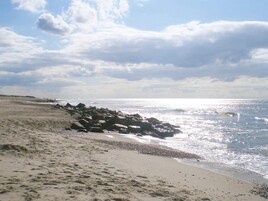 House | View from property