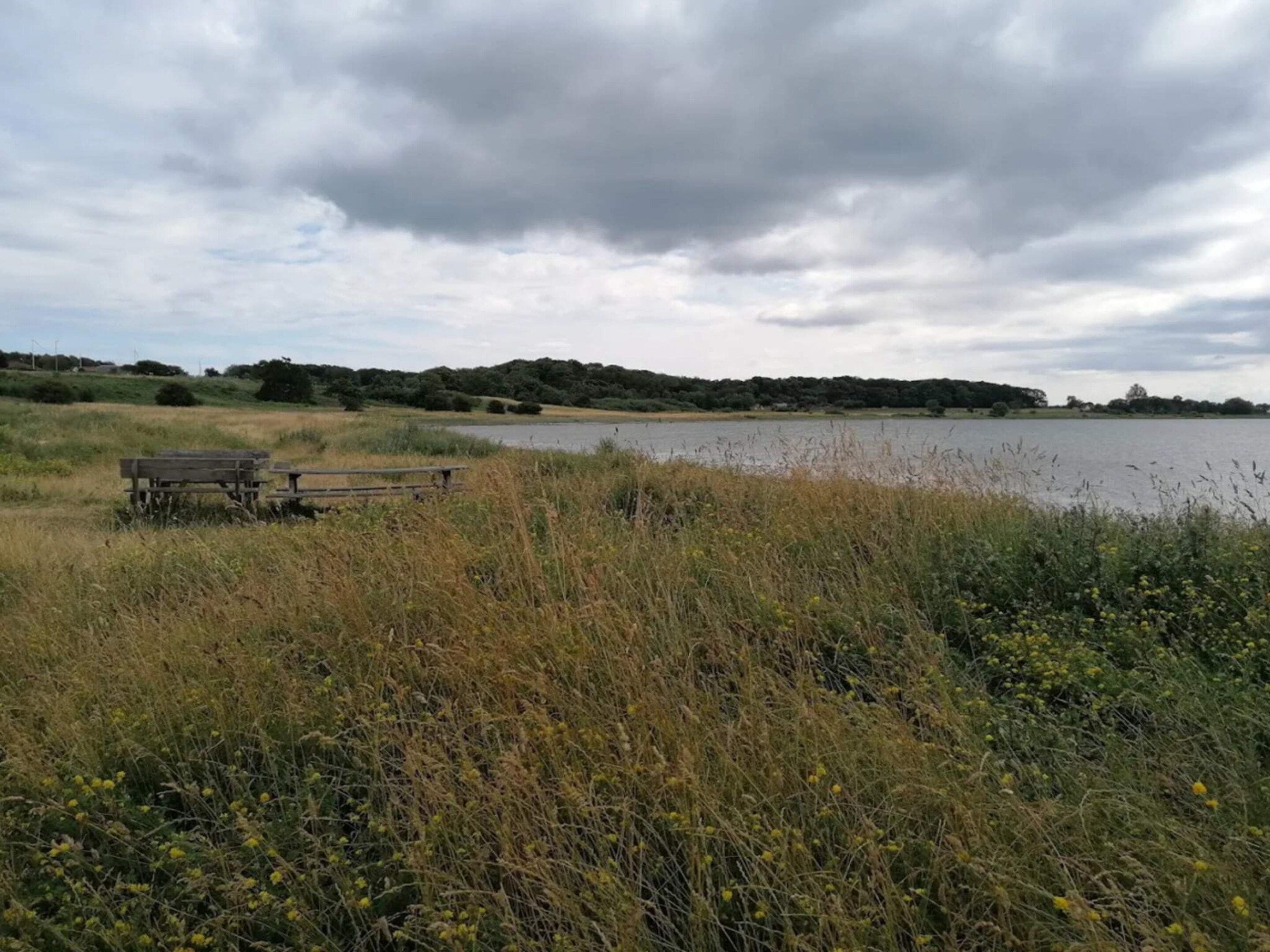 Uitzicht op een meer met een bank en picknicktafel, omgeven door hoog gras en bomen.