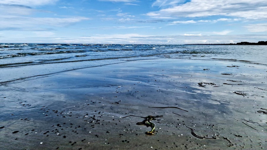 Spacious Villa near Beach in Hadsund