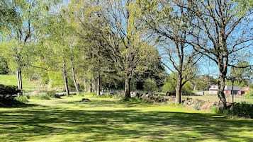 A grassy park area with trees and a stone wall.