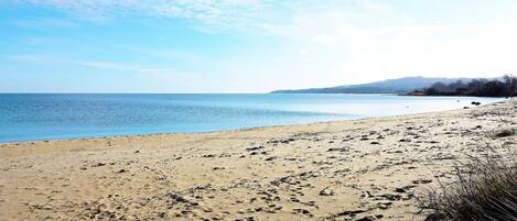 A beach with footprints and sparse vegetation.