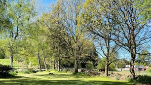 A grassy park with trees and a stone wall. - 4 Person Holiday Home in Klippan (Klippan)