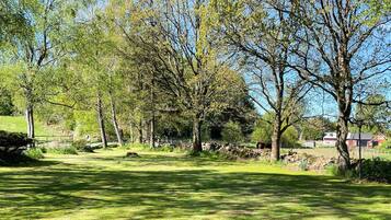 A grassy park with trees and a stone wall.