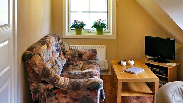 A cozy room with a sloped ceiling, a window with plants, a sofa, a wooden table with a TV and some items on it. - 5 Person Holiday Home in Lonashult (Lönashult)