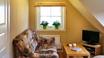 A cozy room with a sloped ceiling, a window with plants, a sofa, a wooden table with a TV and some items on it.
