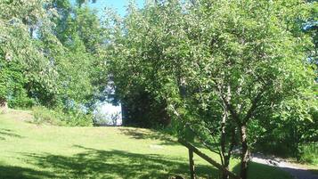 A grassy area with trees and a gravel path.