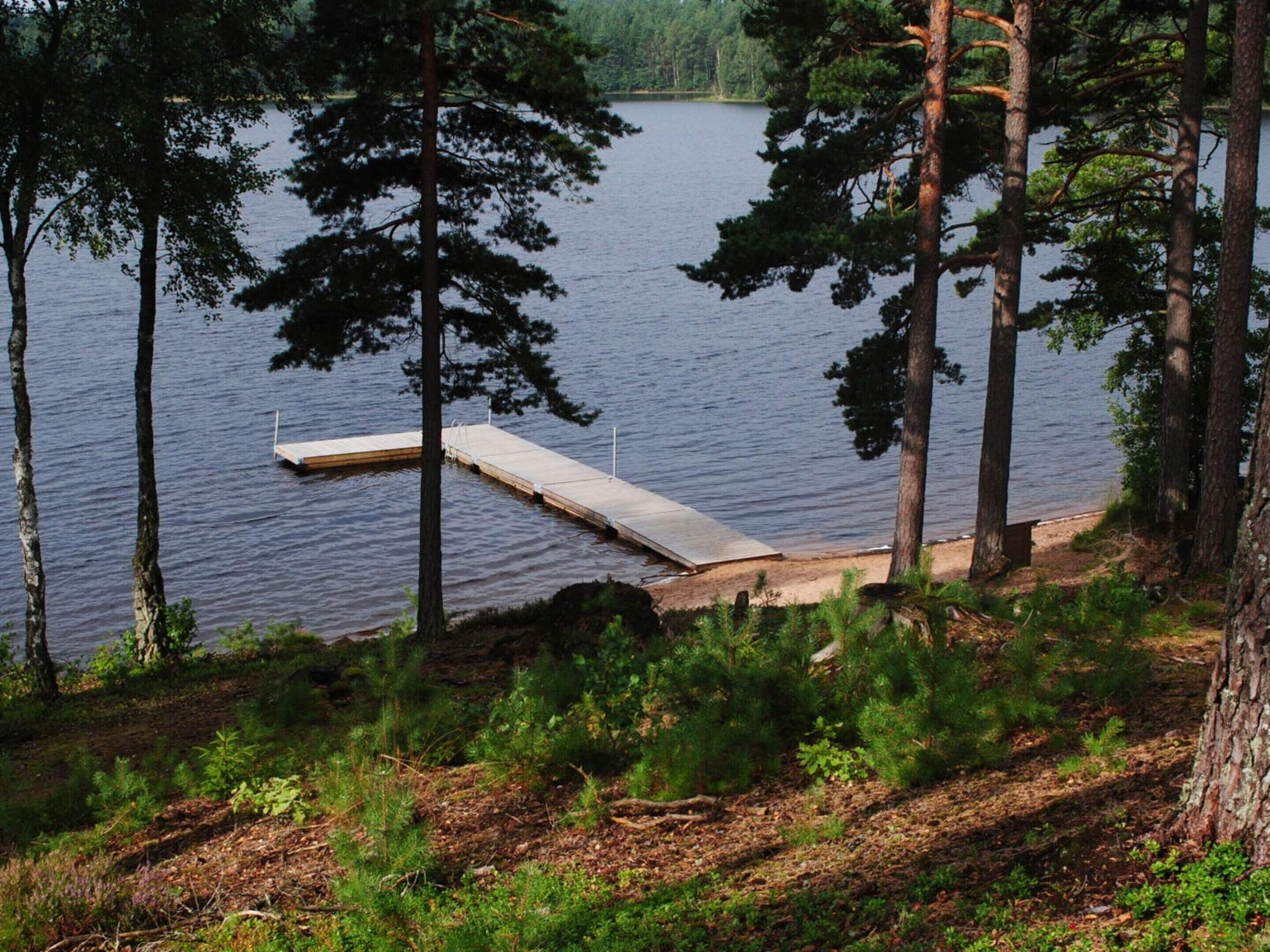 A lakeside dock extending into calm water, surrounded by dense trees and a forested area.