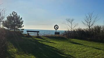 House | Property grounds