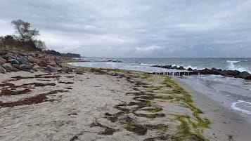 A beach with seaweed on the sand, a rocky shoreline, and a cloudy sky.