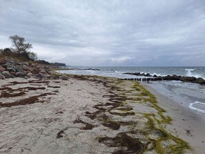 A beach with seaweed on the sand, a rocky shoreline, and a cloudy sky. - 4 Star Holiday Home in Stege (Stege)