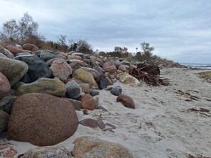 En stenet strand med store sten og sparsom vegetation.