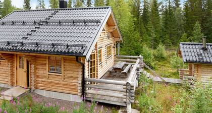 Holiday Home in Sälen