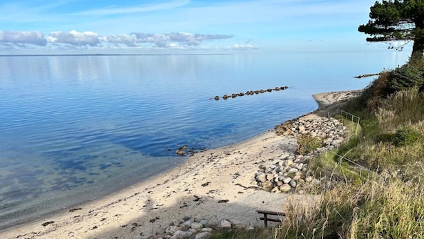 Ein freier Blick auf einen See mit einem Kiesstrand, einer Holzbbank und einer Reihe Steine im Wasser.