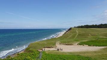 A coastal landscape with a grassy area, a fenced path, and the ocean.