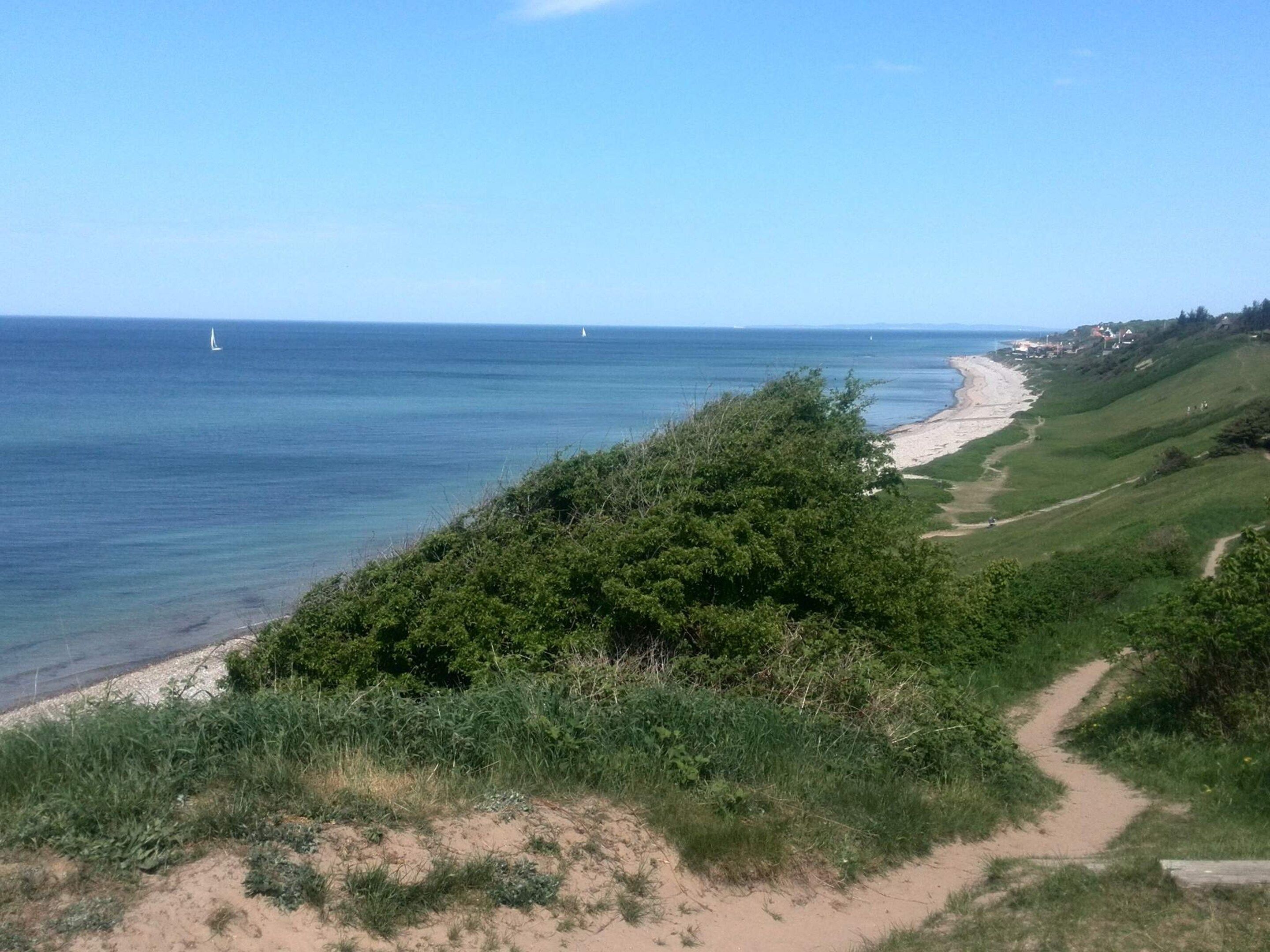 Un paisaje costero con una playa arenosa, un sendero de tierra y abundante vegetación.
