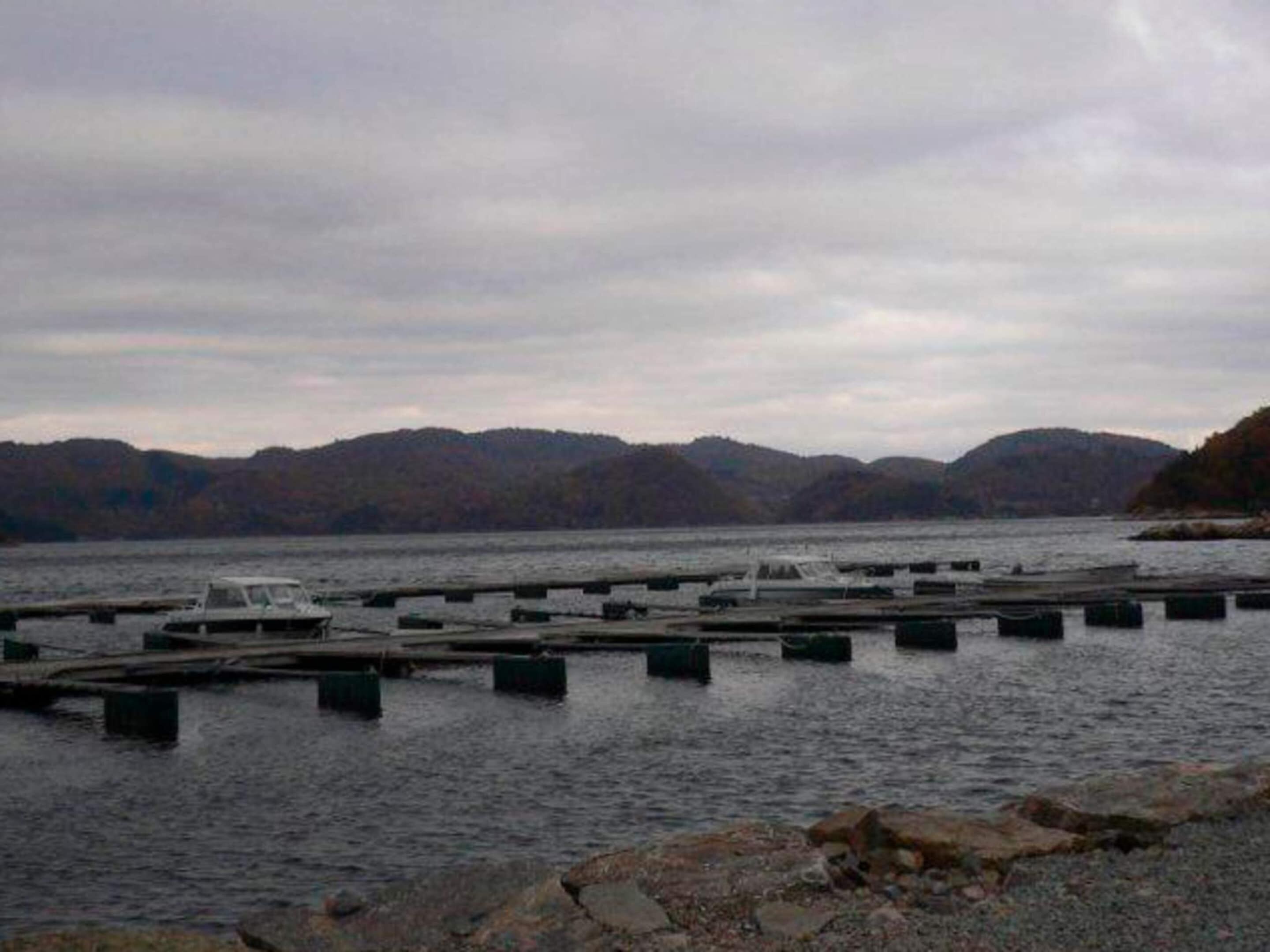 A waterfront area with boats docked at piers, calm water, and hills in the background.