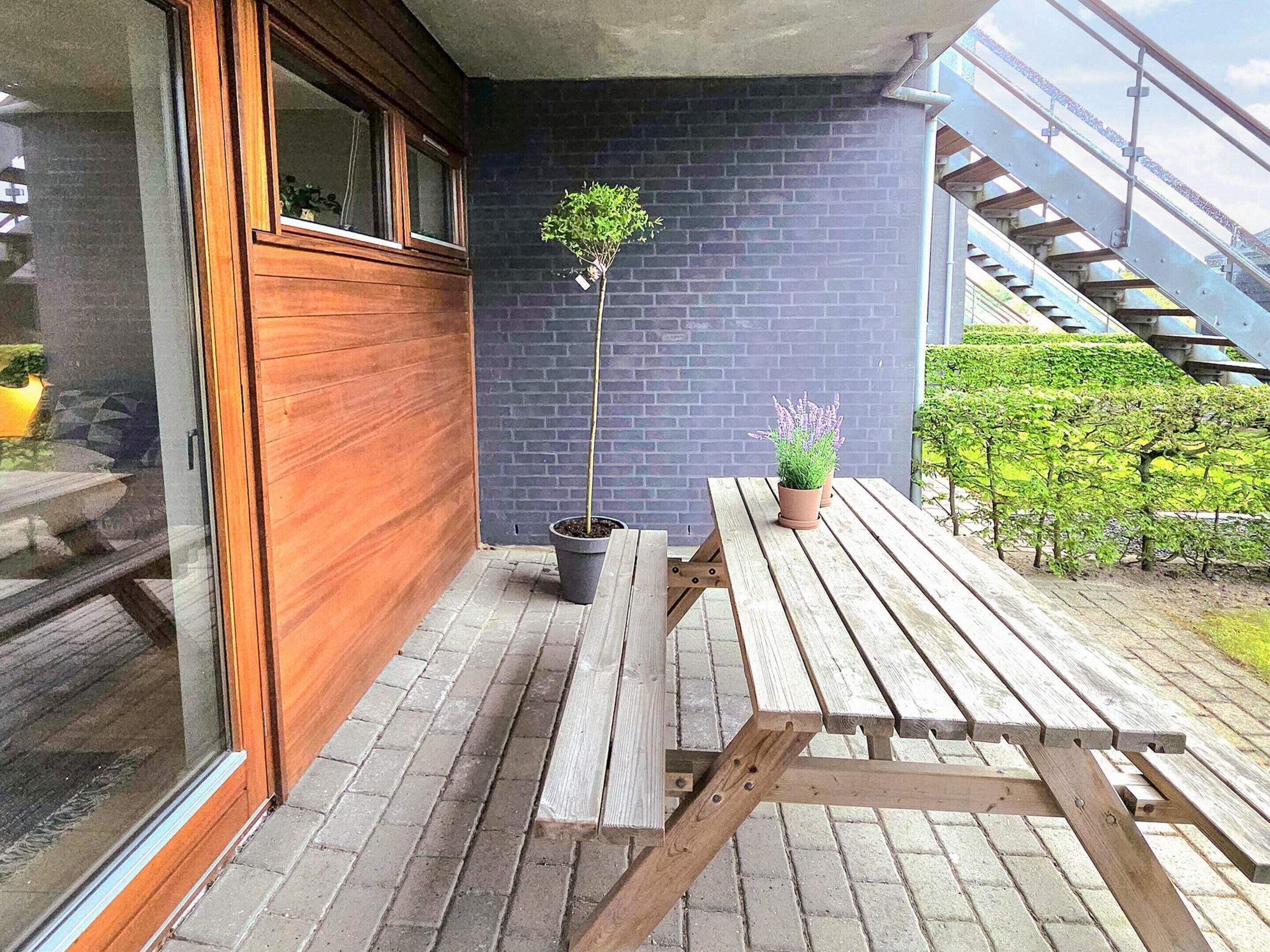 En træbænk, en potteplante og en trappe.