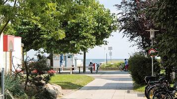 House | Property grounds