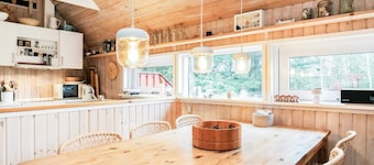 4 Star Holiday Home in Skagen