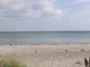 Ein Strand mit sandigem Ufer und ruhigem Wasser.