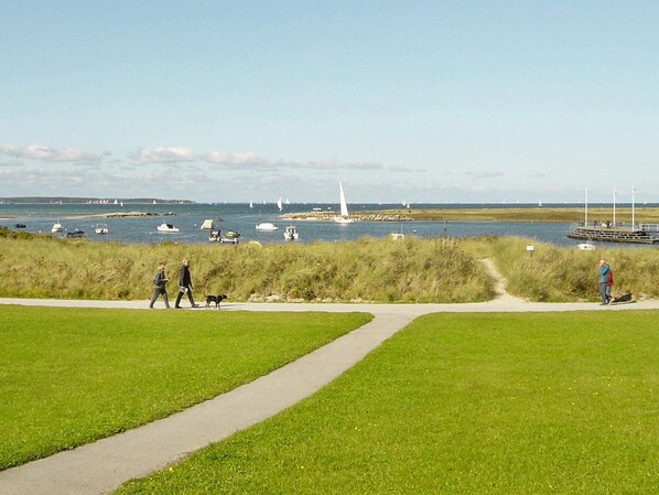 Une promenade en bord de mer, avec des zones herbeuses et un sentier menant à un quai.