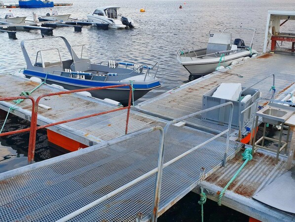 House | Marina - 6 Person Holiday Home in Oksvoll-by Traum (Orland)