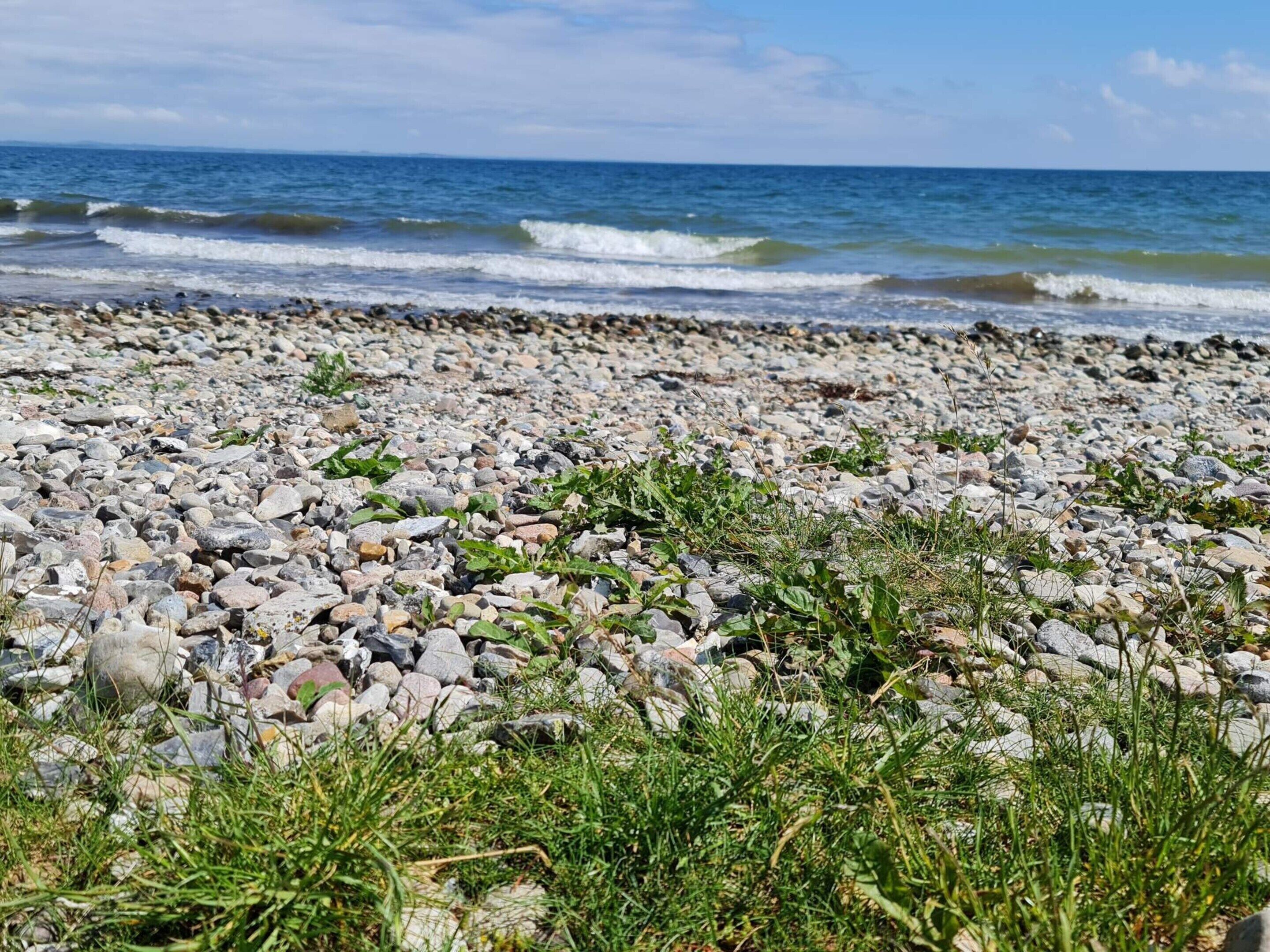 A rocky beach with waves and clear skies.