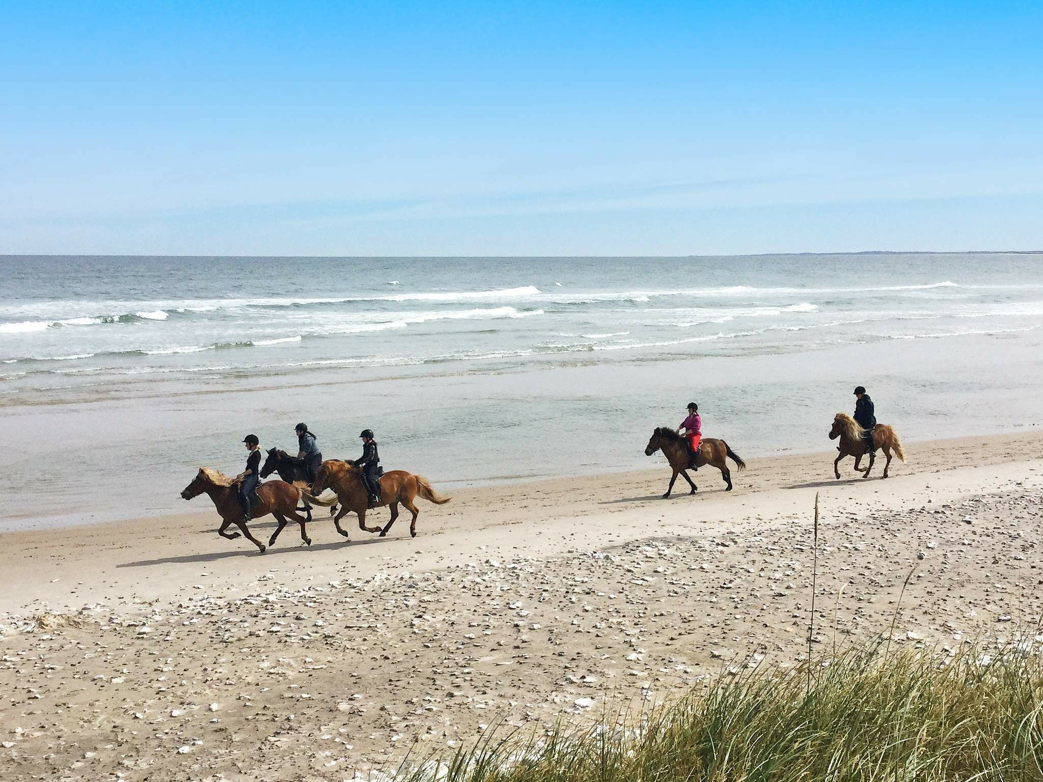 Strand