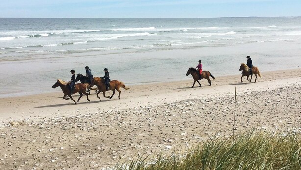 Plage