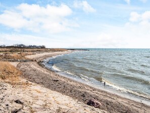 Ein Strand mit sandigem Ufer und ruhiger See.