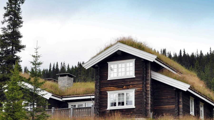 Holiday Home in FÃ¥vang