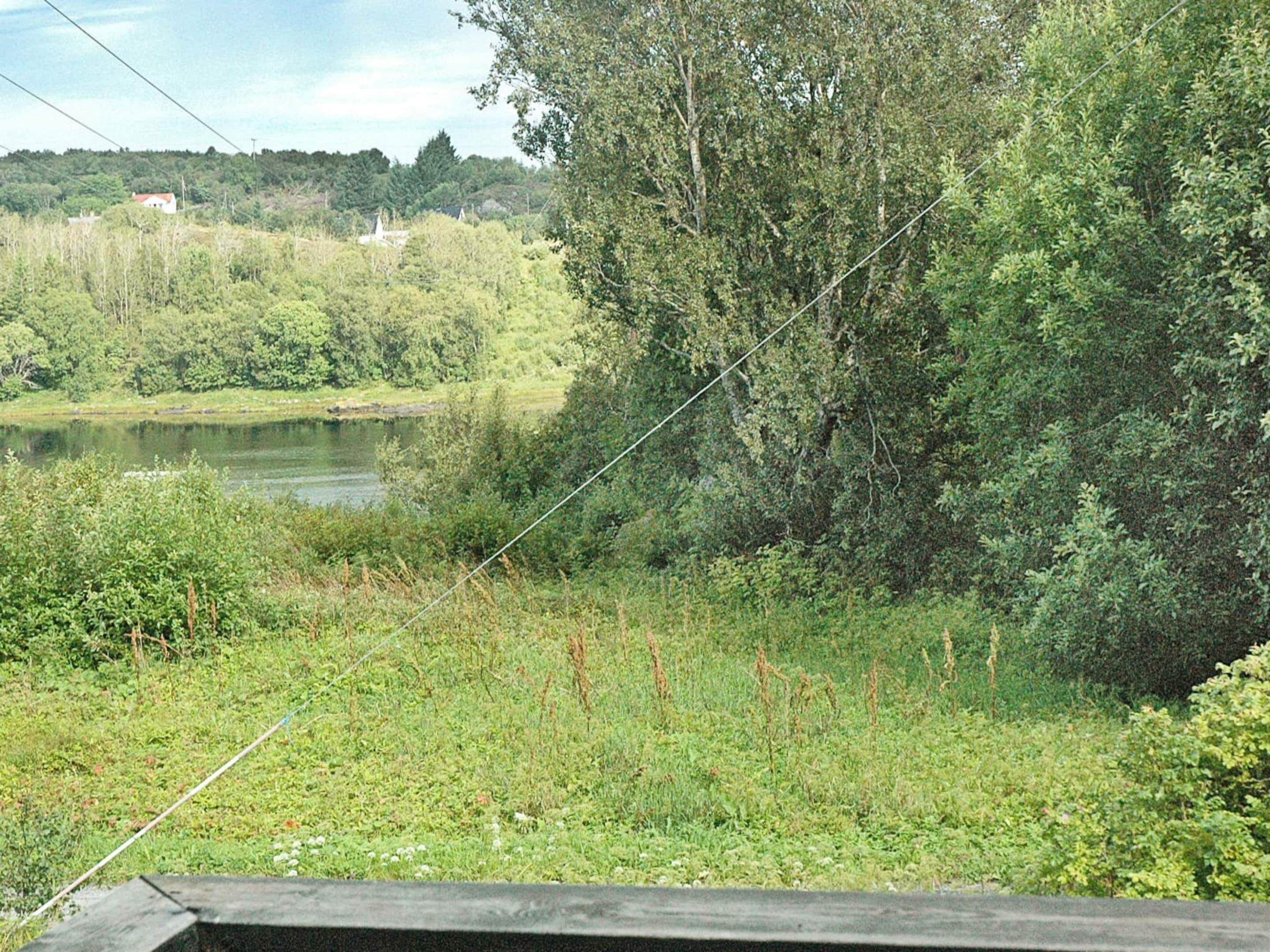 Ein Fluss mit dichter Vegetation und einem Gebäude in der Ferne.