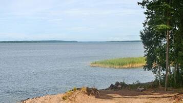 A lakeside view with a sandy beach, a small dock, and a forested area.