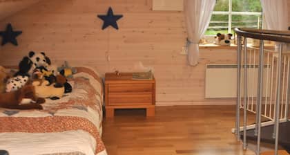 Holiday Home in Mariestad