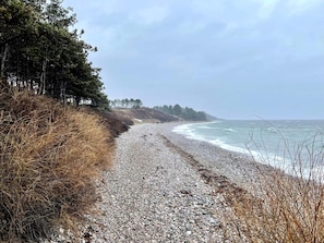En grusväg som sträcker sig längs en kuststräcka med träd och havet i bakgrunden.