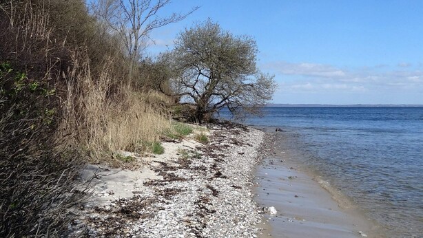 Une plage bordée d’une côte rocheuse, avec une végétation clairsemée et un ciel dégagé.