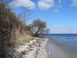 A beach with a rocky shoreline, sparse vegetation, and a clear sky.