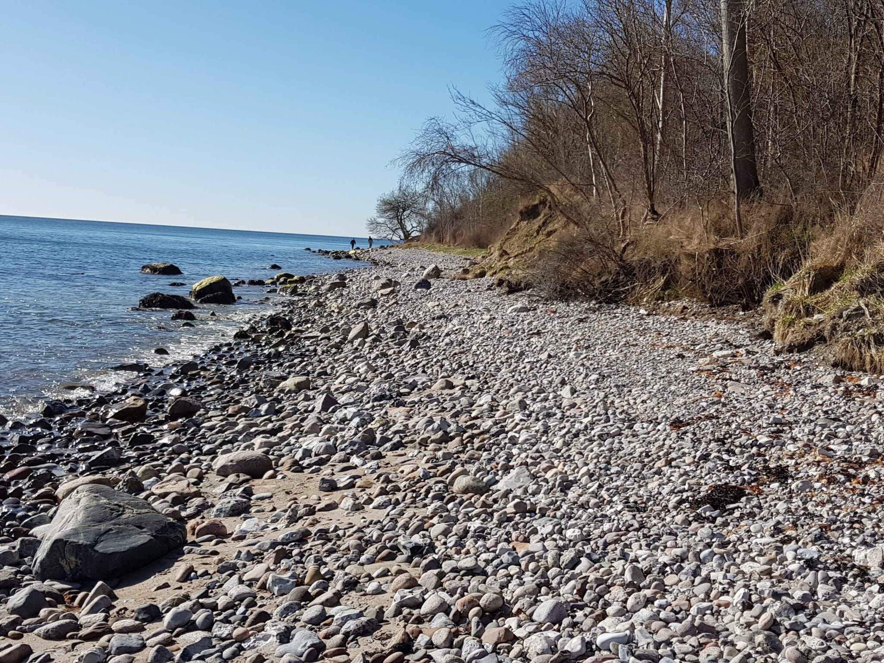 En strand med småsten, en klippig kustlinje och träd i bakgrunden.