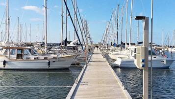 ํ์ฐ์ค | ๋ง๋ฆฌ๋