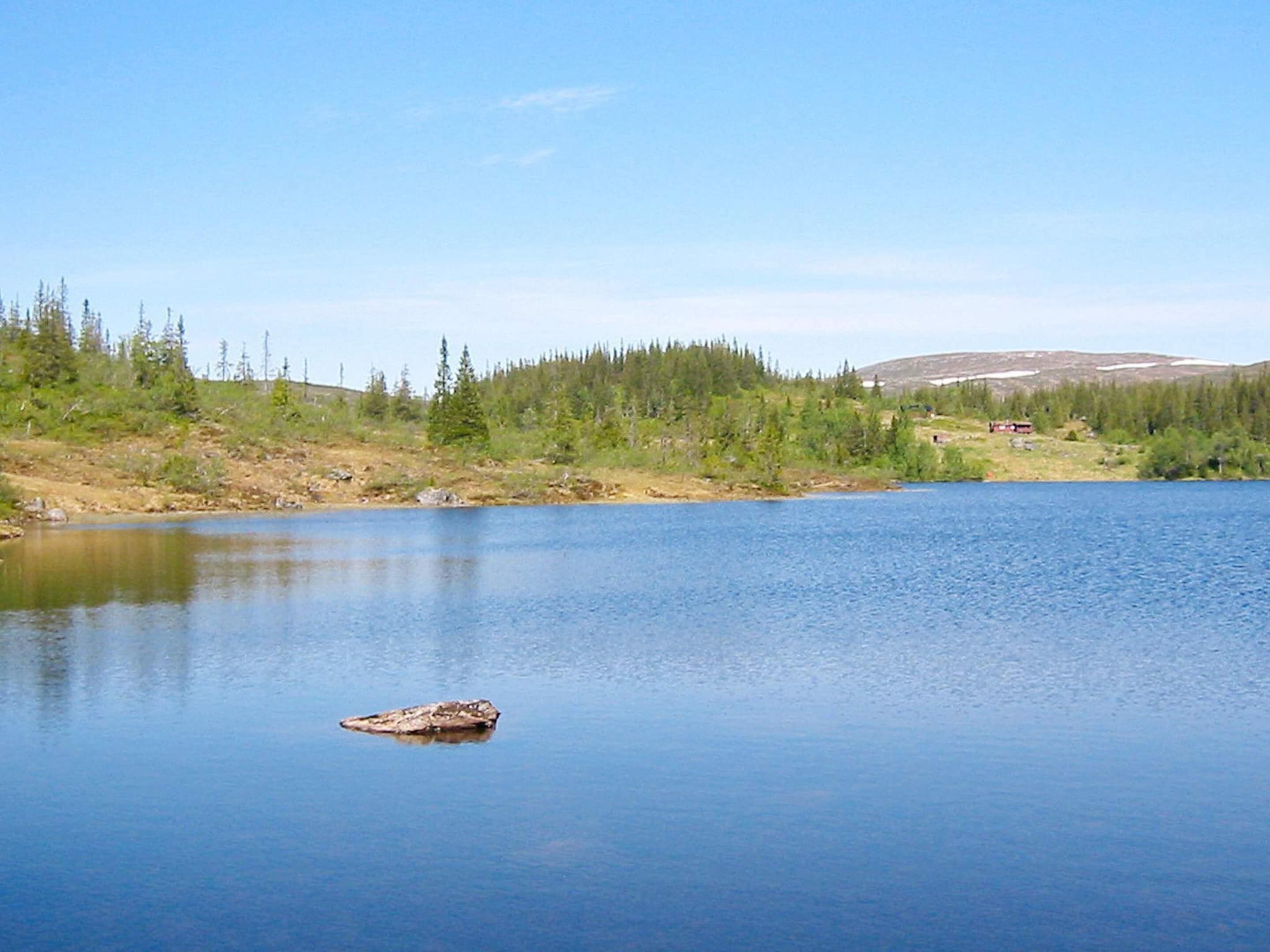 A calm lake with a small island in the center.