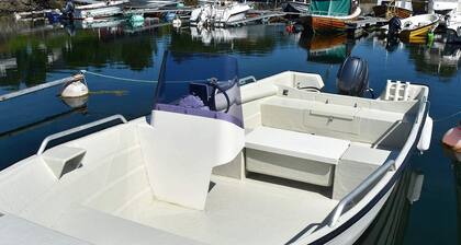 Holiday Home in Vevang