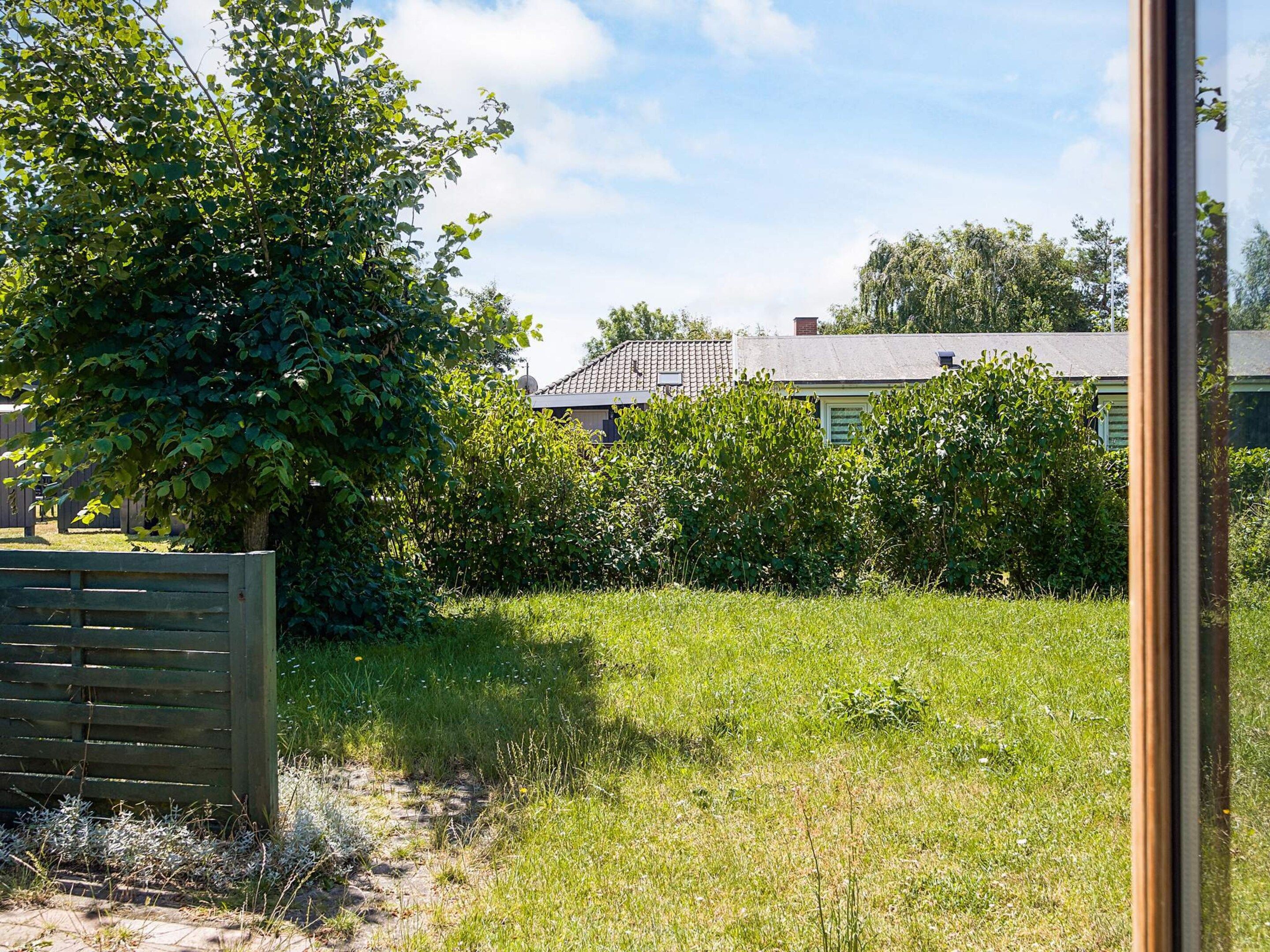 A garden with a wooden fence, a tree, and a house with a tiled roof.