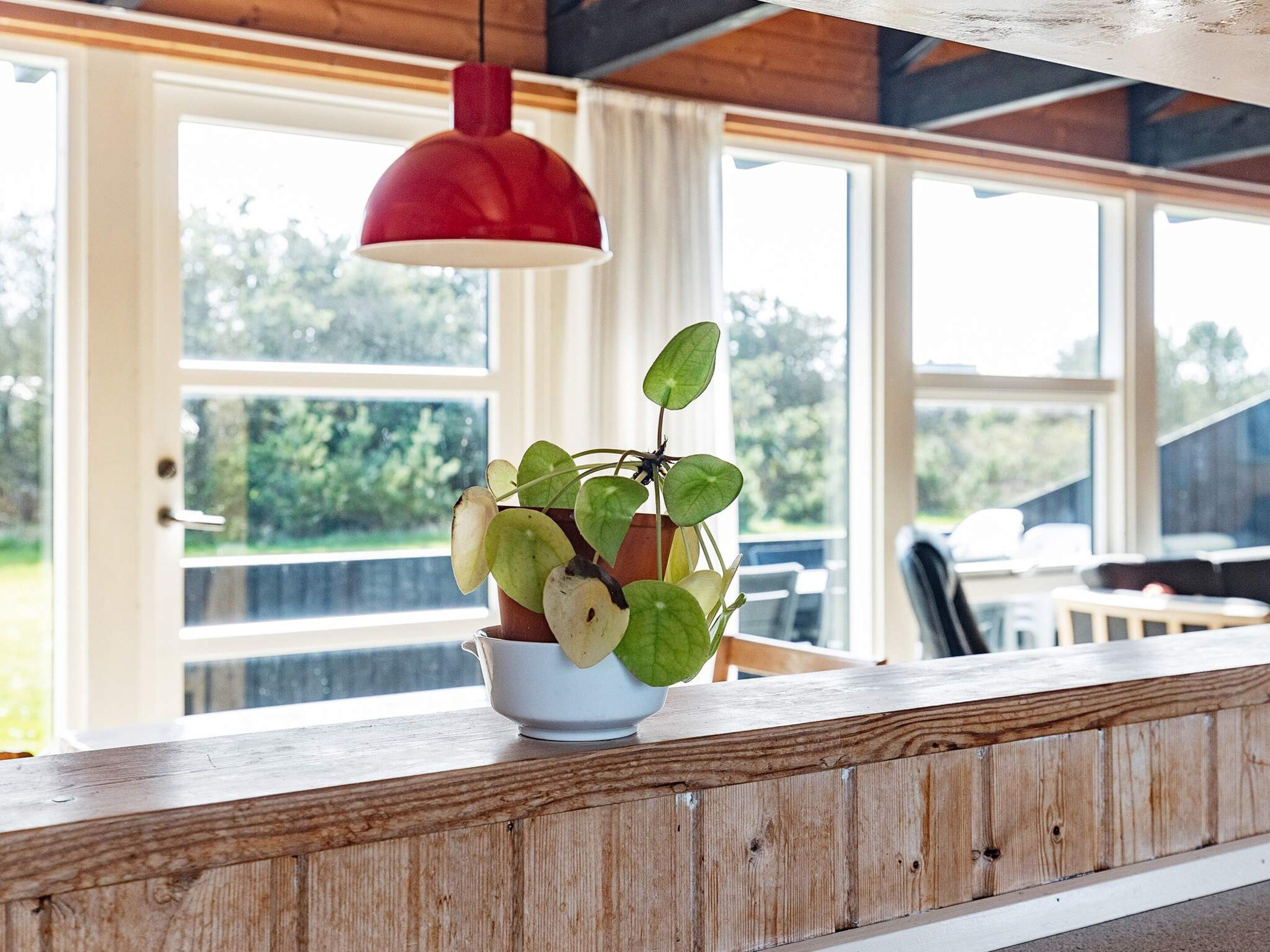 Ein Blumentopf auf einer Holzablage, darüber eine rote Pendelleuchte, große Fenster und Blick ins Grüne.