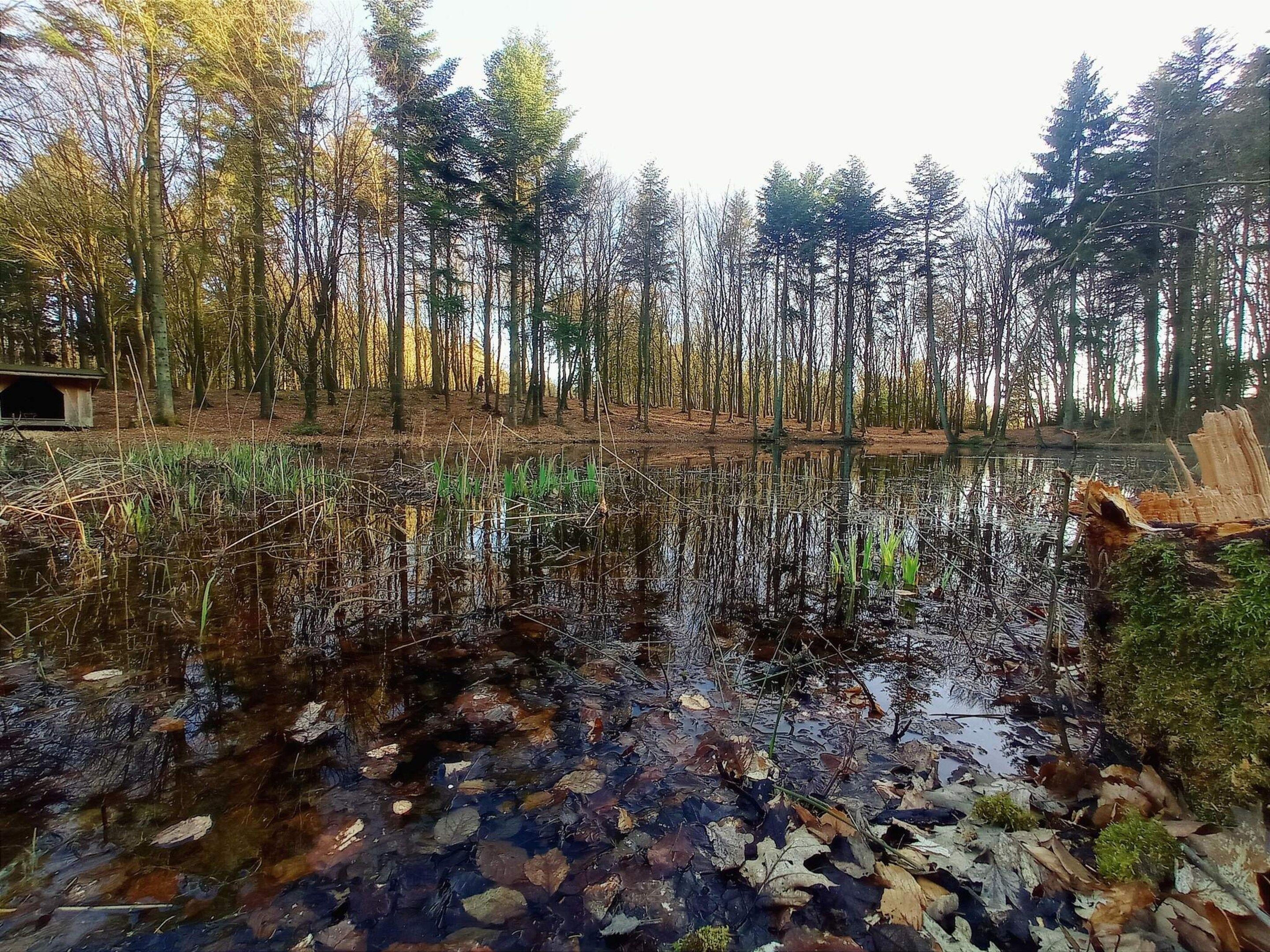 Water view