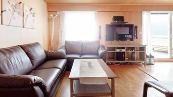 Fireplace, DVD player