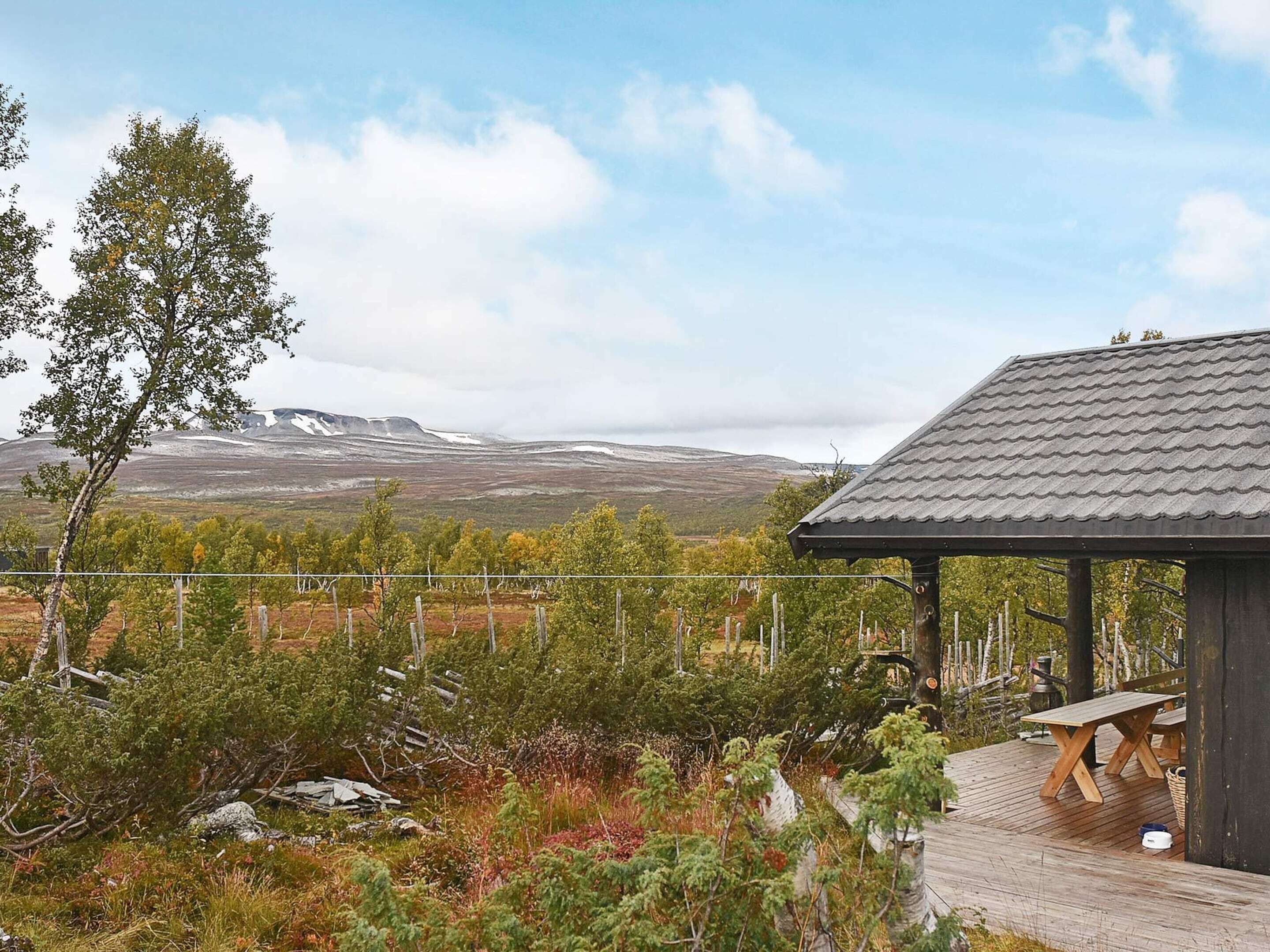 المنطقة المحيطة بالمنشأة