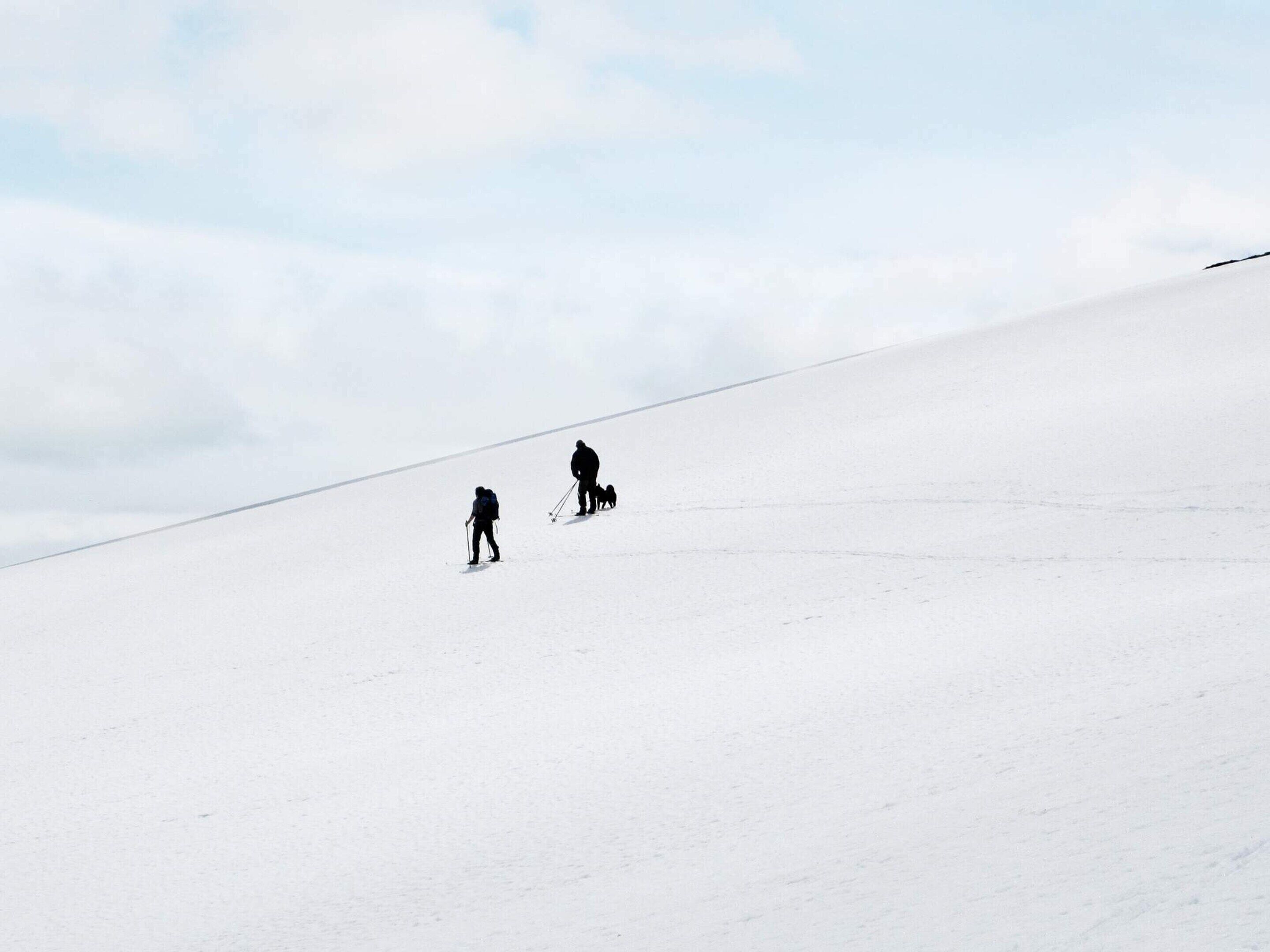 Une pente enneigée avec deux skieurs.